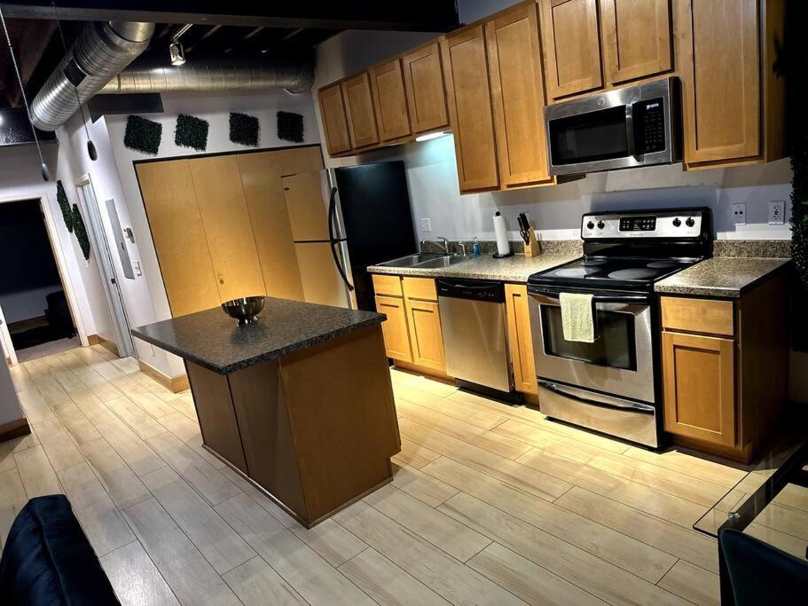 Serene Living Downtown Stl Loft Saint-Louis Extérieur photo